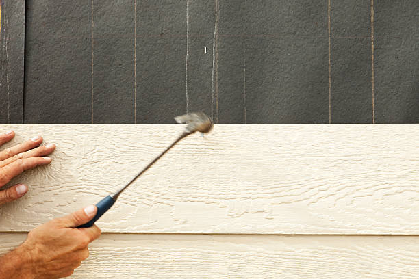 Best Brick Veneer Siding  in Lightstreet, PA